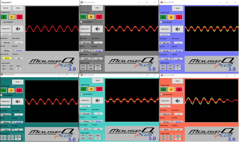 Software-2